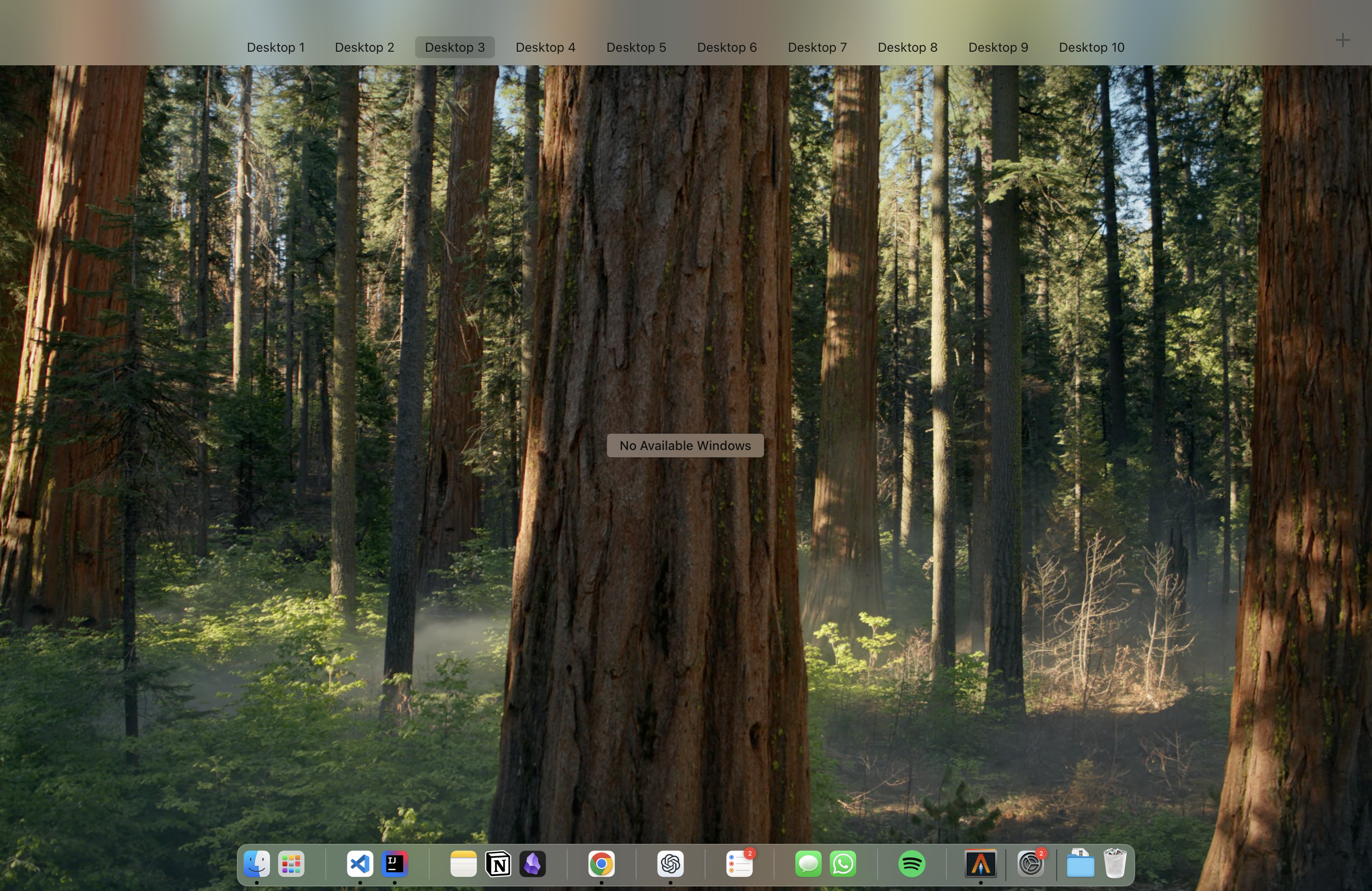 Divided Dock Configuration